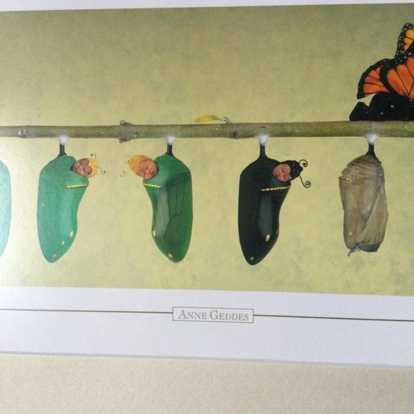 Anne Geddes produced in New Zealand printed in Australia wall plaque - Picture 4 of 6